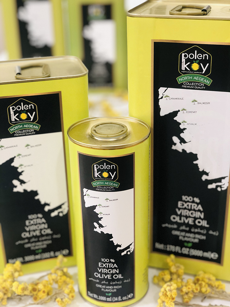 NORTH AEGEAN TIN CONSEPT.jpg